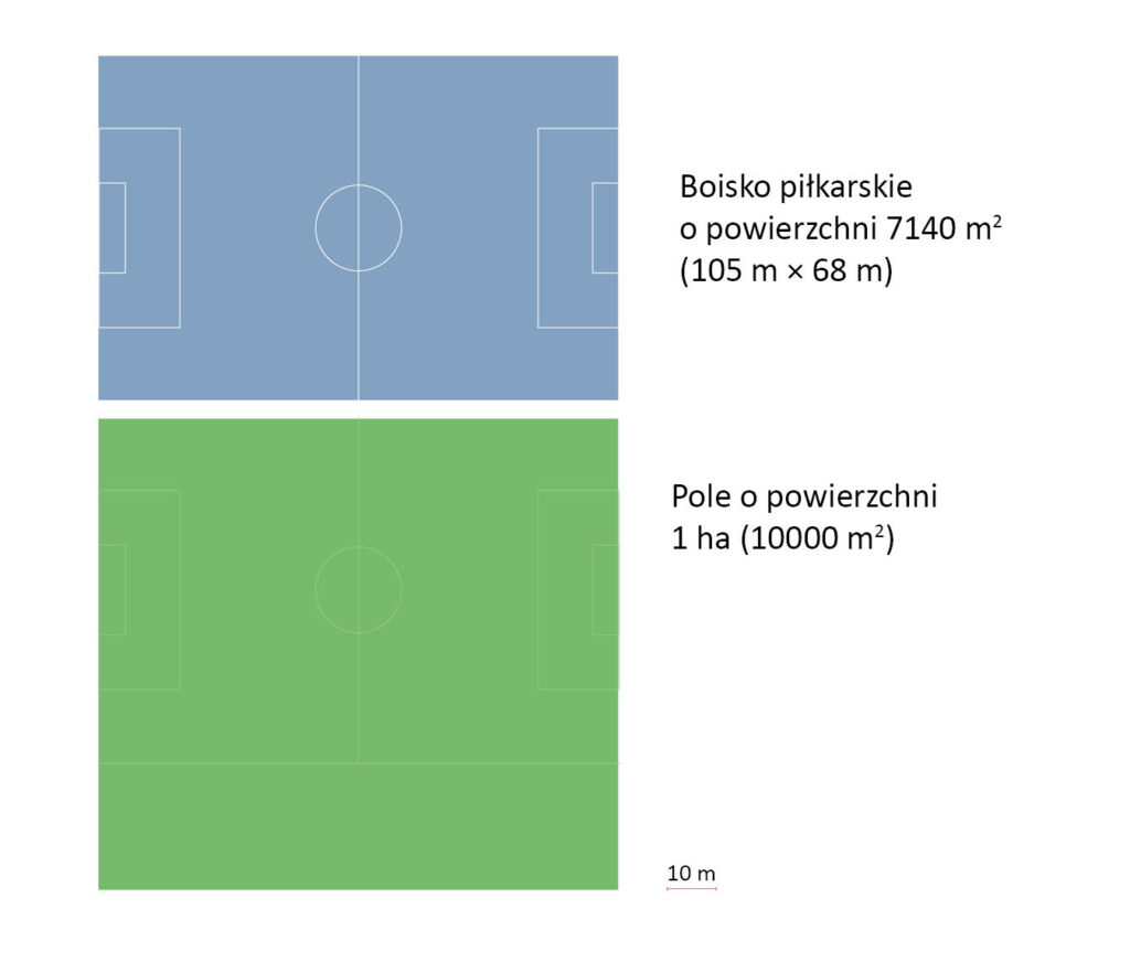 porównanie wielkości boiska i jednego hektara